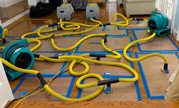 Professional Basement Flood Cleanup technician working in Starbuck, MN